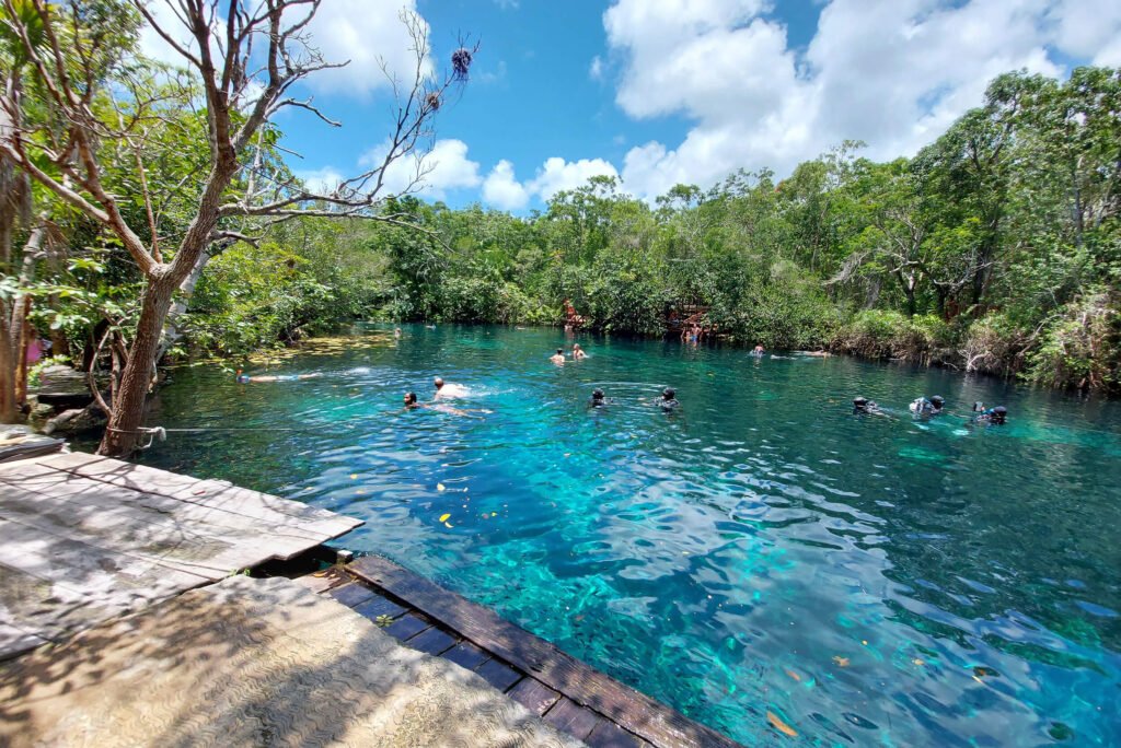 playa-del-carmen divers adventures