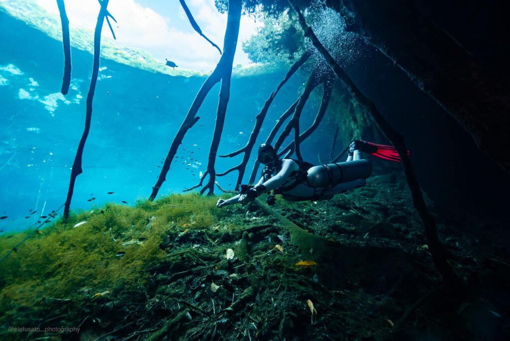 riviera-maya divers adventures